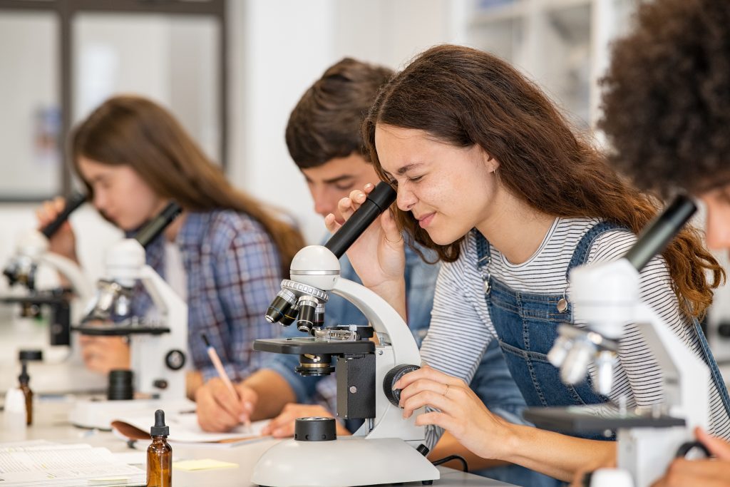 onderwijs